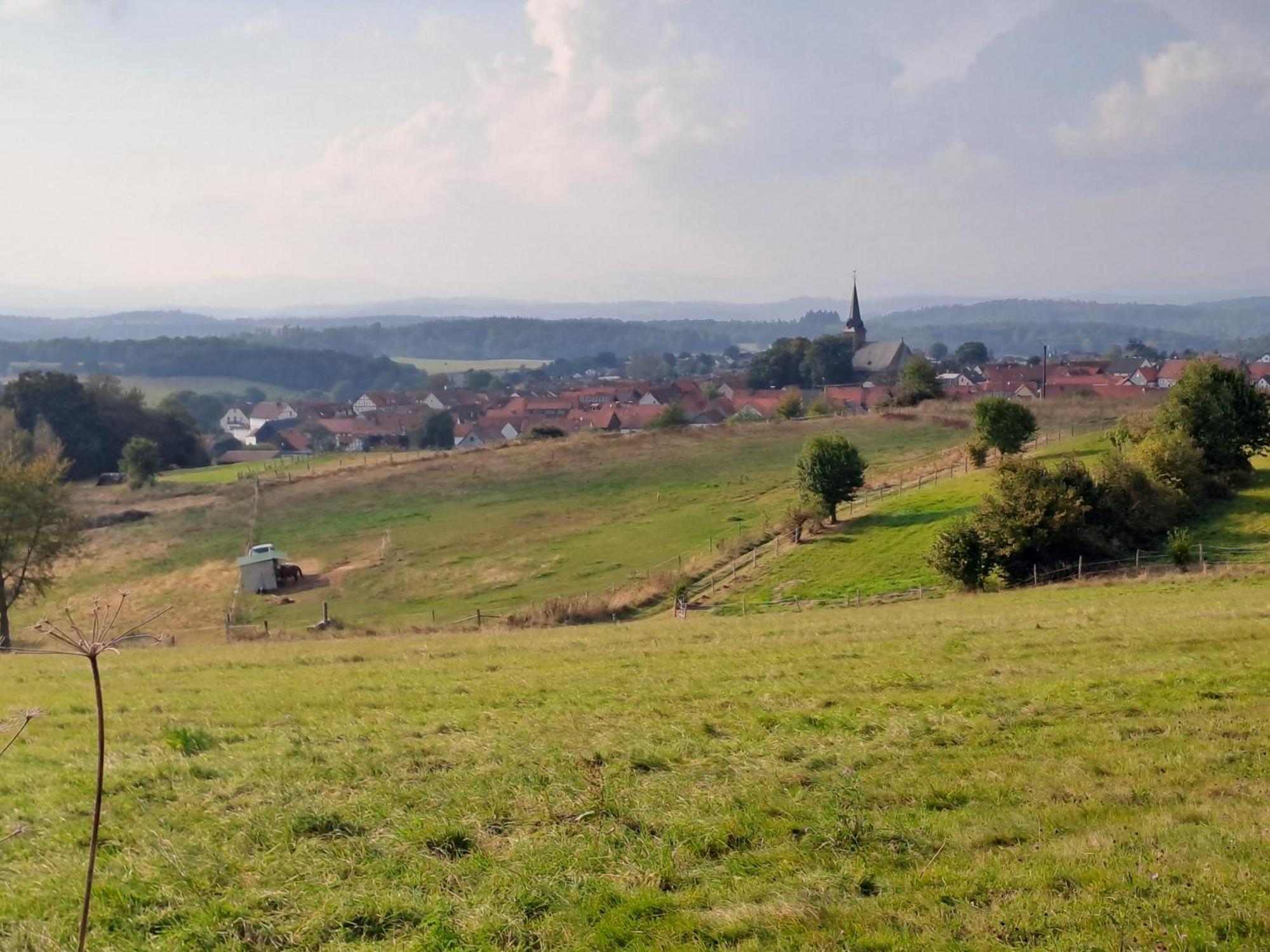 Ferienwohnung Schaefer Am Nationalpark Kellerwald Frankenau エクステリア 写真