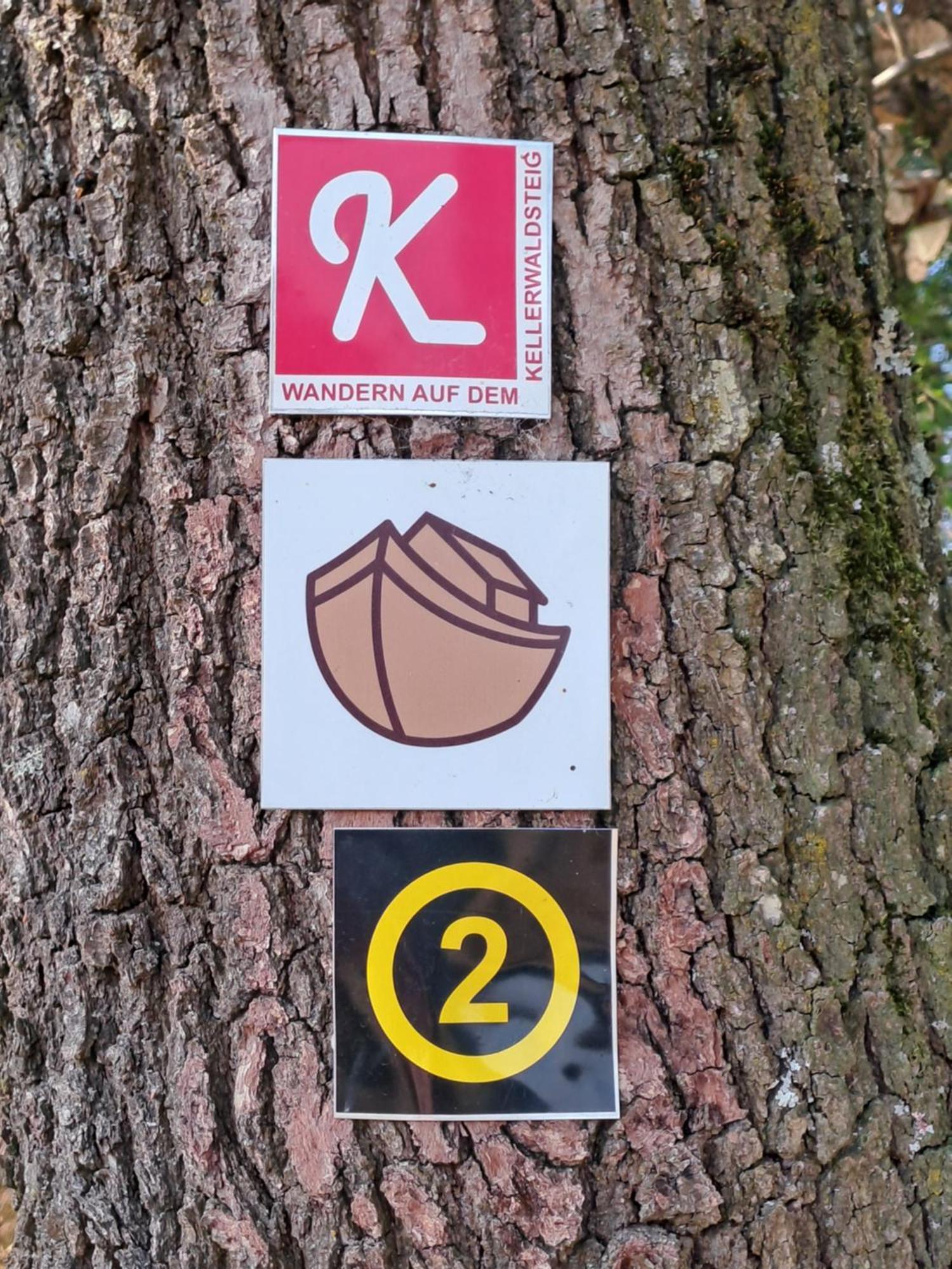 Ferienwohnung Schaefer Am Nationalpark Kellerwald Frankenau エクステリア 写真